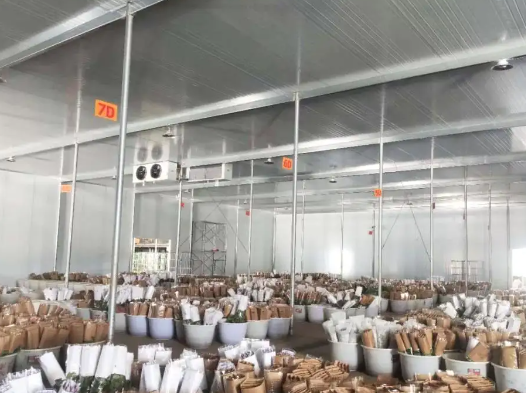 南京鮮花保鮮冷庫(kù)