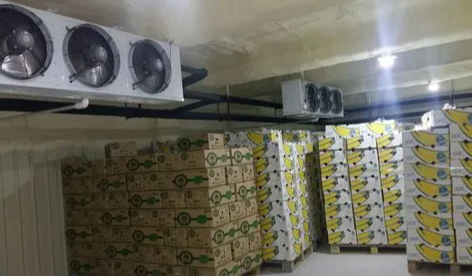 在廣州建造一個保鮮冷庫大概需要多少錢 在廣州建造一個保鮮冷庫大概需要多少錢