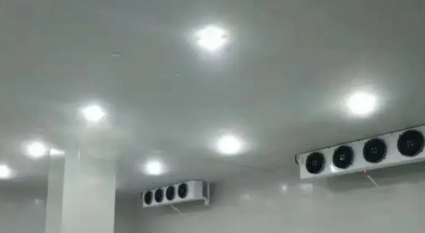 建一所100平米冷庫需要花費多少錢