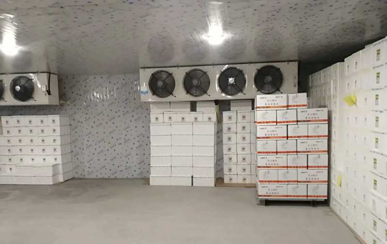 超低溫速凍冷庫地面如何處理 超低溫速凍冷庫地面如何處理