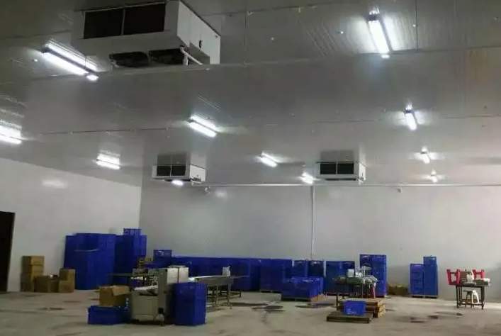 冷藏庫有除菌的功能嗎 冷藏庫有除菌的功能嗎