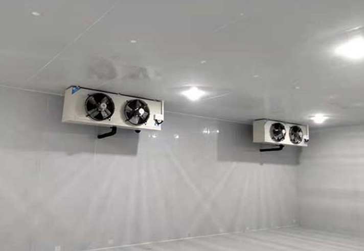 建造青芒果保鮮冷庫需要多少錢 建造青芒果保鮮冷庫需要多少錢