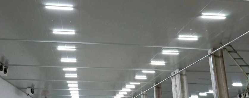 冷庫安裝什么樣照明燈比較好 冷庫安裝什么樣照明燈比較好