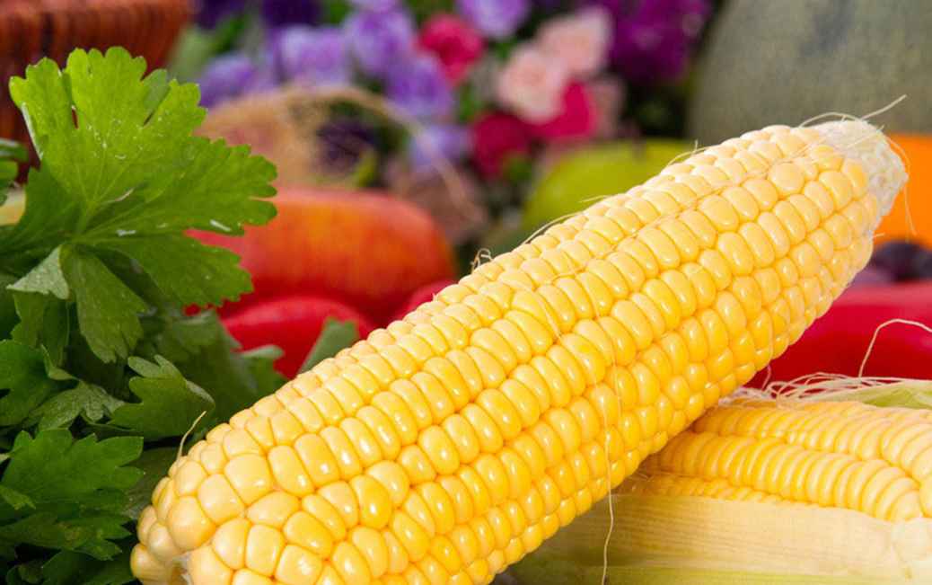 大量新鮮玉米怎么保鮮冷庫存放呢 大量新鮮玉米怎么保鮮冷庫存放呢