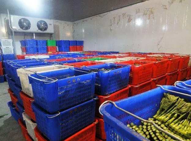 建造大型蔬菜保鮮冷庫造價多少錢 建造大型蔬菜保鮮冷庫造價多少錢