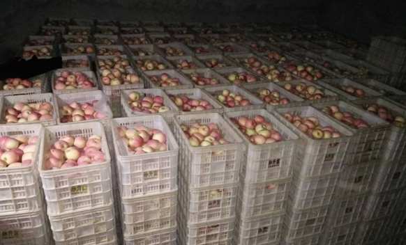 安裝30平米蘋果保鮮冷庫(kù)大約需要多少錢