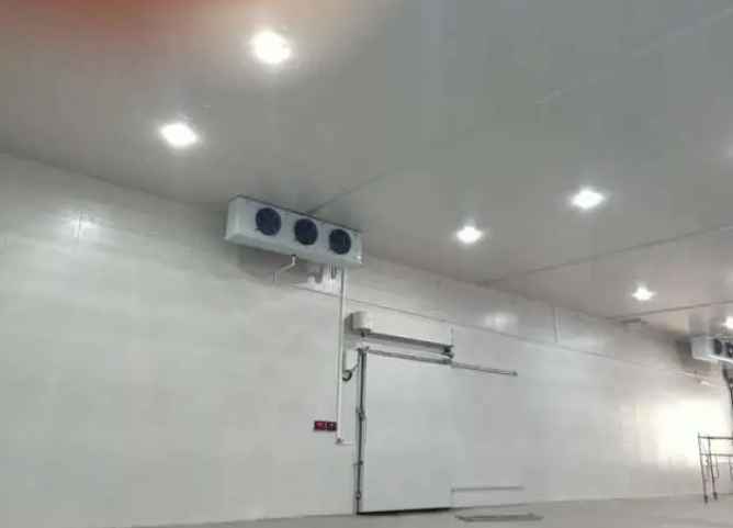 建一個冷凍庫大概要多少錢 建一個冷凍庫大概要多少錢