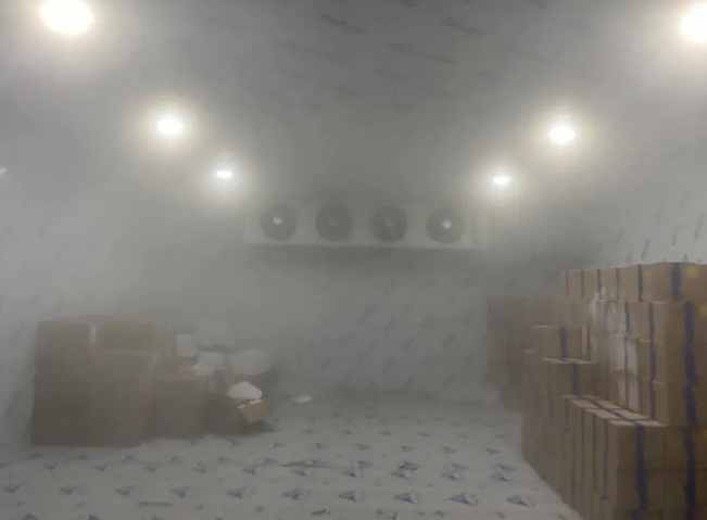 超低溫速凍冷庫地面如何處理 超低溫速凍冷庫地面如何處理