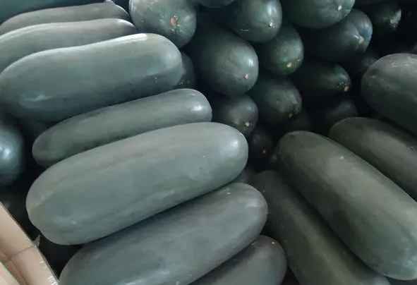 安裝30立方冬瓜冷庫(kù)多少錢 安裝30立方冬瓜冷庫(kù)多少錢