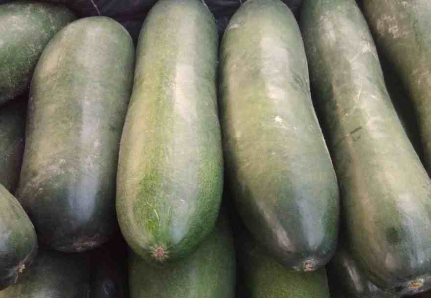 安裝30立方冬瓜冷庫(kù)多少錢 安裝30立方冬瓜冷庫(kù)多少錢