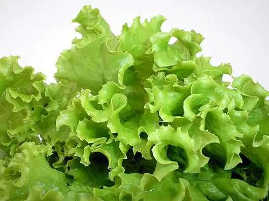 1000立方蔬菜保鮮庫(kù)造價(jià)多少錢 1000立方蔬菜保鮮庫(kù)造價(jià)多少錢