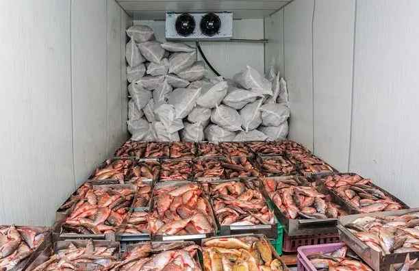 裝一個(gè)100平米生鮮冷庫大概要多少錢呢？