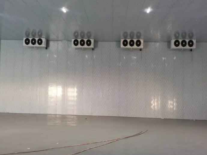 豬肉冷庫冷藏能放多久 豬肉冷庫冷藏能放多久