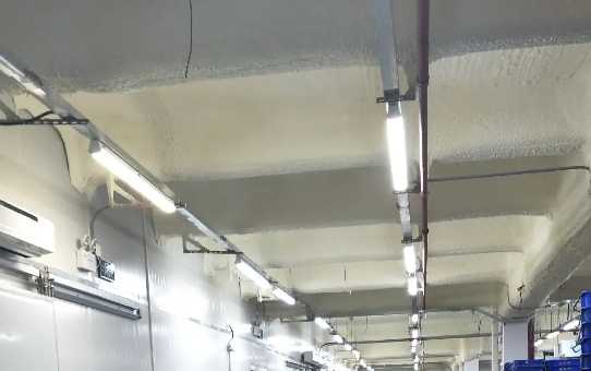 冷庫里的燈壞了怎么換 冷庫里的燈壞了怎么換