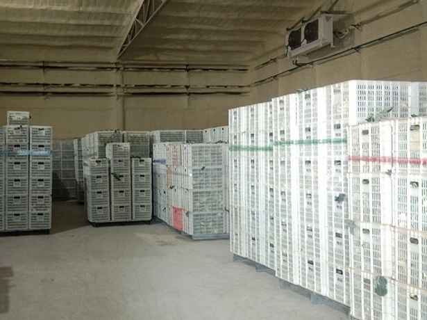 雞蛋保鮮冷庫技術要求 雞蛋保鮮冷庫技術要求