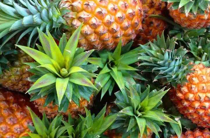 安裝菠蘿氣調(diào)冷庫多少錢