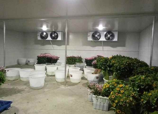 建一個15平的鮮花冷庫要多少錢 建一個15平的鮮花冷庫要多少錢