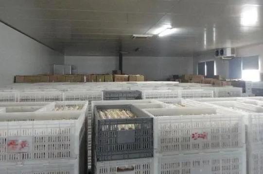 雞蛋冷庫溫度多少合適