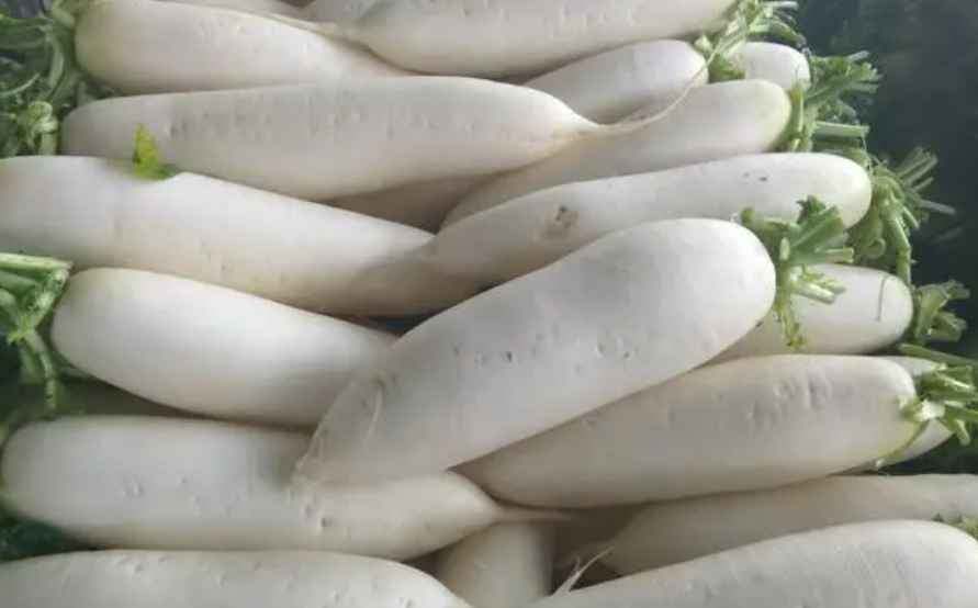 蘿卜冷庫保鮮技術方法 蘿卜冷庫保鮮技術方法