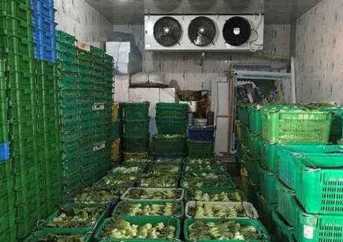 果蔬氣調冷庫建造廠家挑選 果蔬氣調冷庫建造廠家挑選