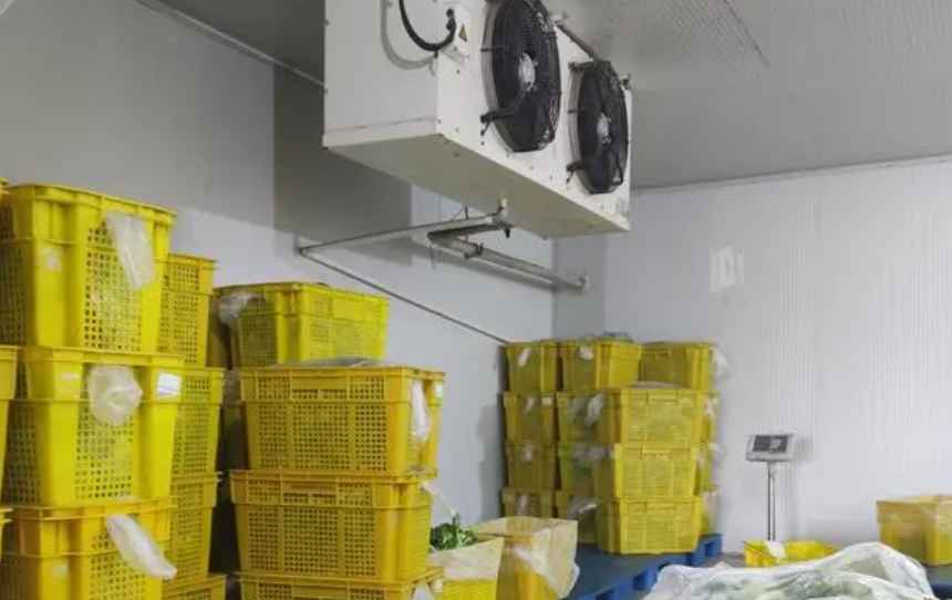 果蔬保鮮冷庫安裝有哪幾點注意事項 果蔬保鮮冷庫安裝有哪幾點注意事項