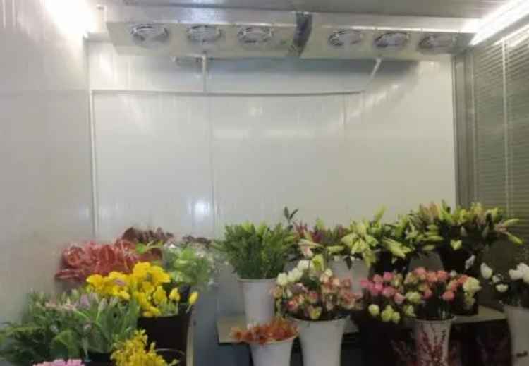 冷庫(kù)不制冷原因和處理方法