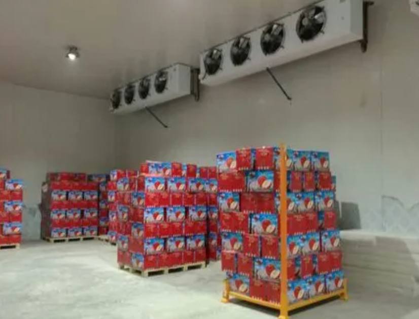 儲(chǔ)存蘋果的冷庫如何建造 儲(chǔ)存蘋果的冷庫如何建造