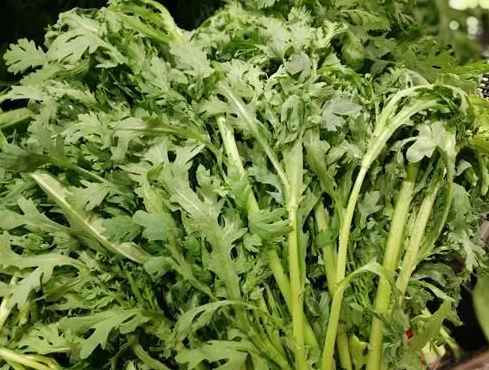 茼蒿冷庫(kù)保鮮儲(chǔ)存方法