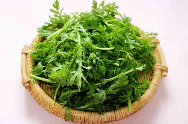 茼蒿冷庫(kù)保鮮儲(chǔ)存方法