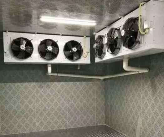 水果店冷庫建設多少錢一平方 水果店冷庫建設多少錢一平方