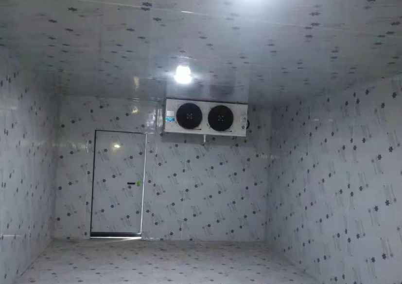 陽光玫瑰葡萄冷庫保鮮技術(shù)有哪些要求 陽光玫瑰葡萄冷庫保鮮技術(shù)有哪些要求