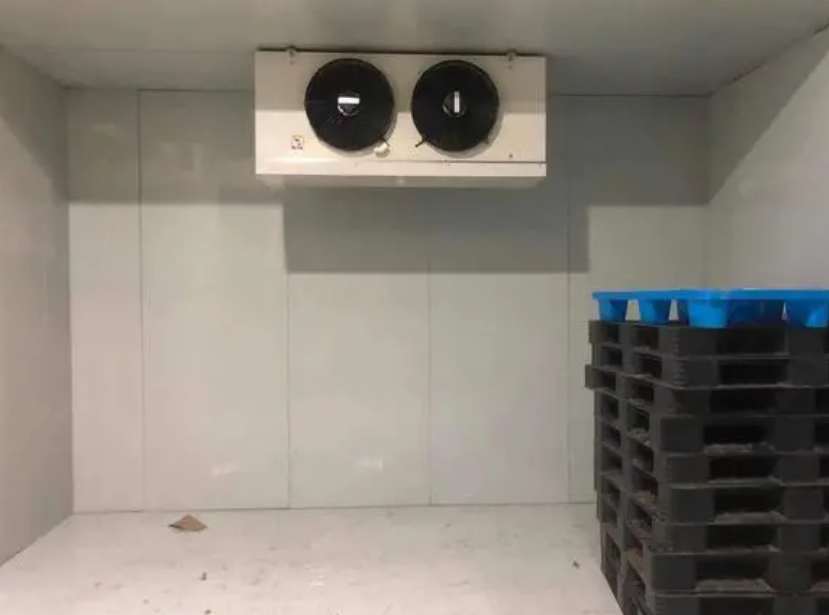 2000平米冷庫價格成本曝光，看完不花冤枉錢！