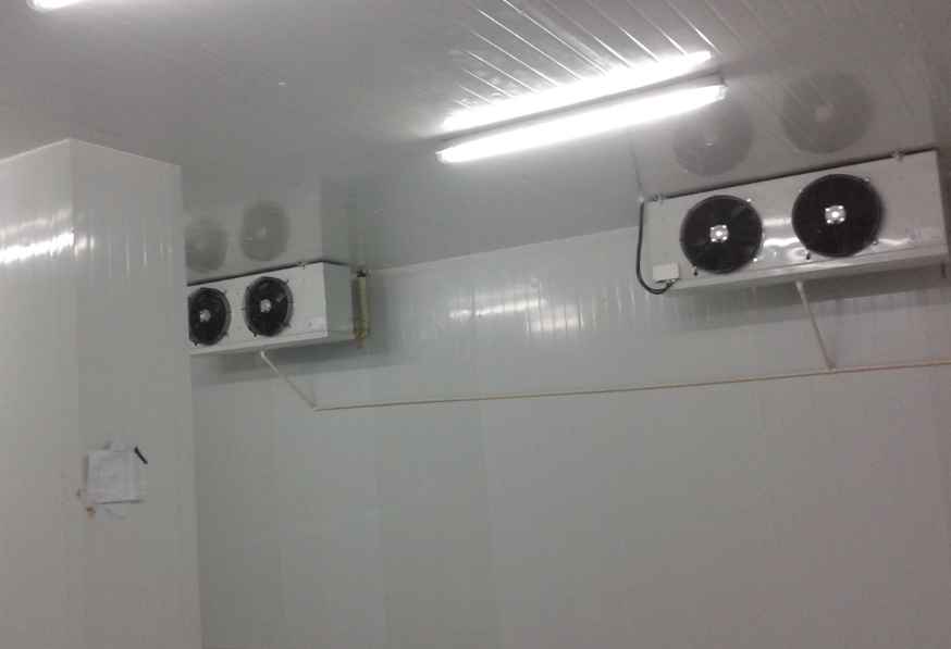 上海地區(qū)小型保鮮冷庫建造費(fèi)用多少錢？