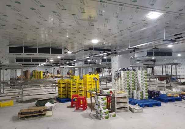 如何準確計算冷庫安裝價格？