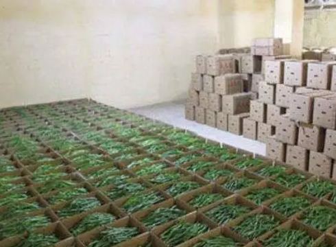 地下冷庫建設(shè)投資預(yù)算價格多少錢 地下冷庫建設(shè)投資預(yù)算價格多少錢