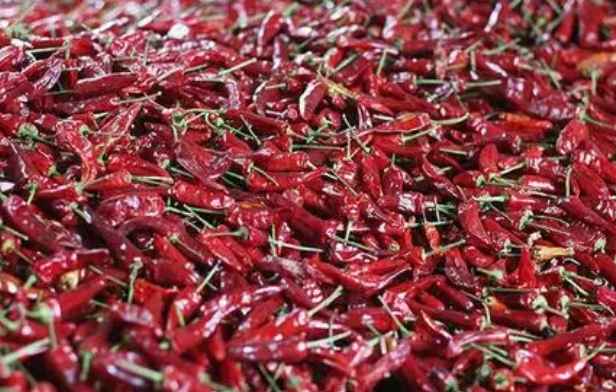 朝天椒冷庫儲存保鮮技術(shù)